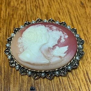 Vintage Cameo Brooch with Ornate Frame